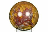 Polished King Cobra Jasper Sphere - India #309232-1